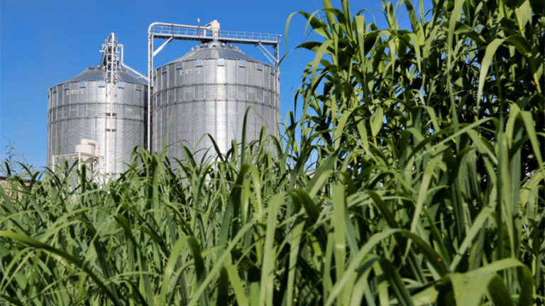 A study led by MIT Center for Sustainability Science and Strategy researchers shows that there is enough land to support efforts to cap global warming at 1.5 degrees Celsius while addressing competing needs for long-term food security and ecosystem health.